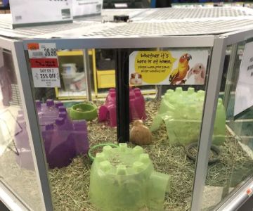Pet Supplies Plus Raleigh