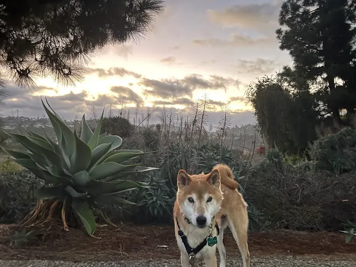 Advanced Veterinary Care of San Elijo 12