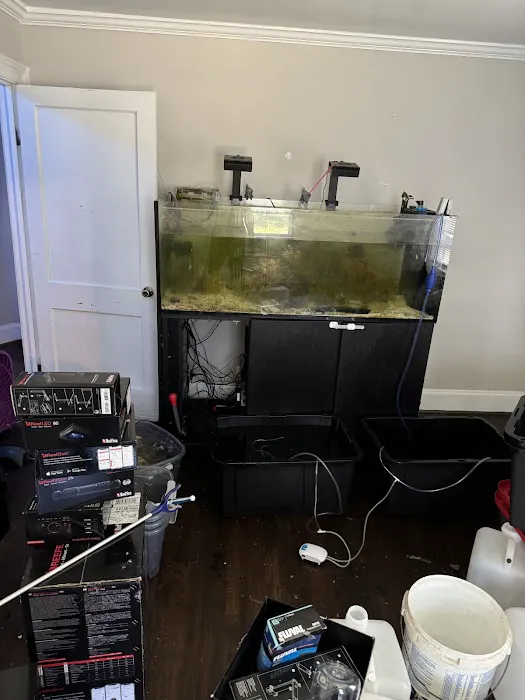 OceanCare Relocation inc 3