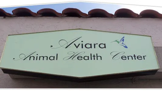 VCA Aviara Animal Hospital 12