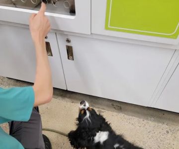 Petco