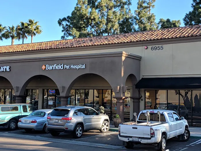 Banfield Pet Hospital 5