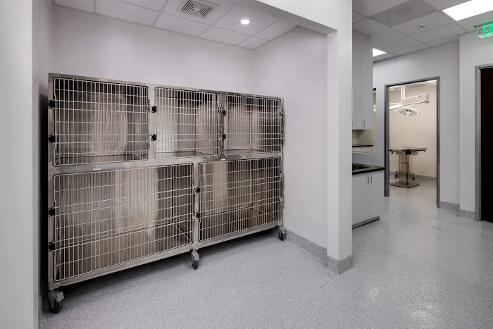 San Elijo Hills Veterinary Clinic 12