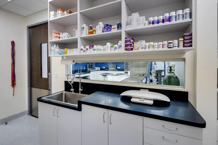 San Elijo Hills Veterinary Clinic 12
