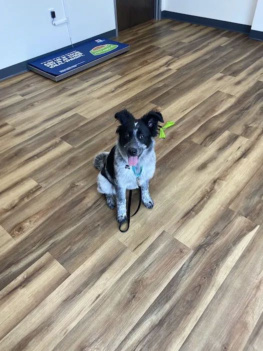 San Elijo Hills Veterinary Clinic 12