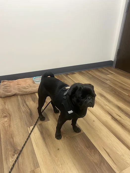 San Elijo Hills Veterinary Clinic 12