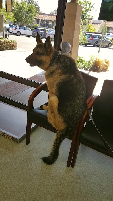 Rancho Bernardo Veterinary Clinic 12