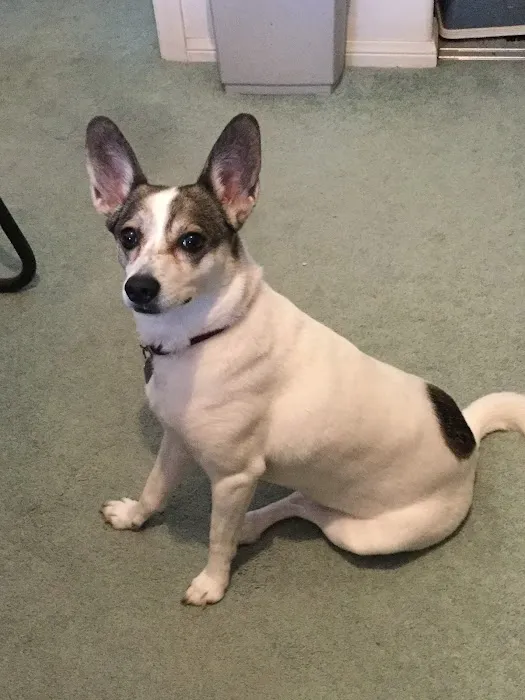 Rancho Bernardo Veterinary Clinic 12
