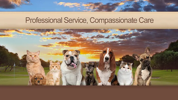 Rancho Bernardo Veterinary Clinic 12