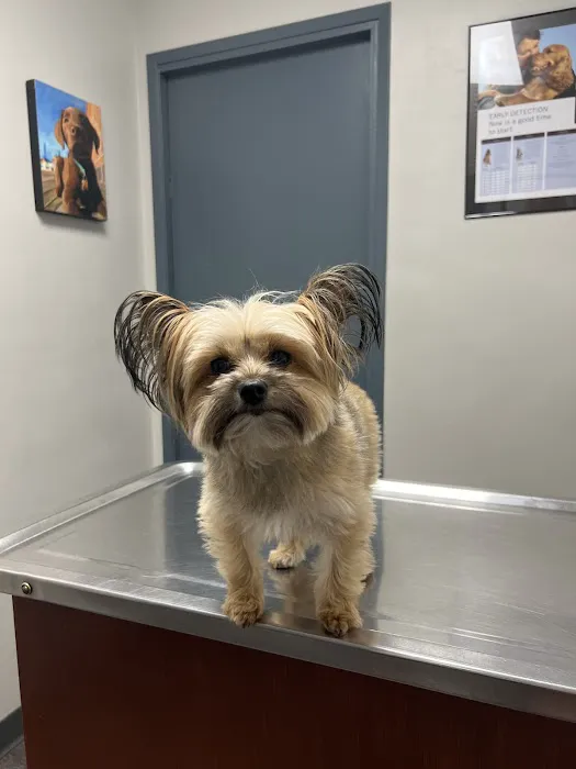 Rancho Bernardo Veterinary Clinic 12