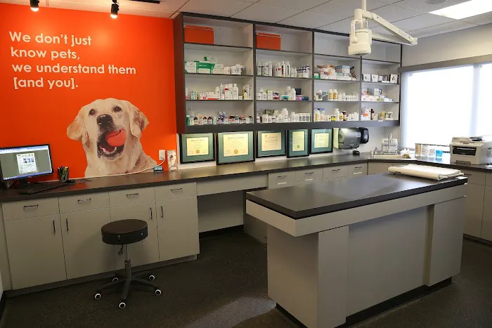 Dr. Boyd's Pet Resort 12