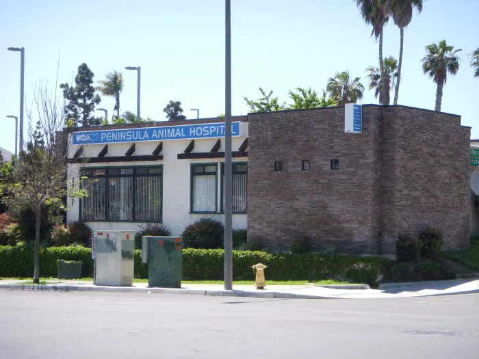 VCA Peninsula Animal Hospital 12