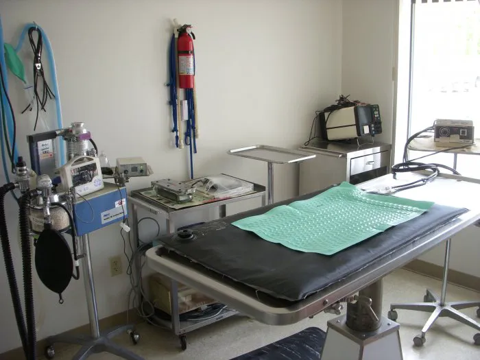 VCA Peninsula Animal Hospital 12