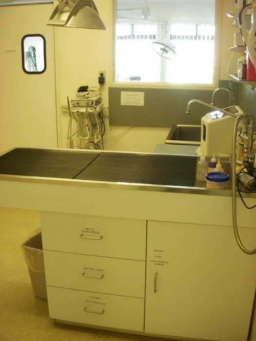 VCA Peninsula Animal Hospital 12