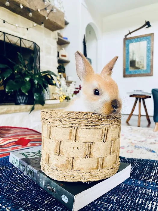 Green Ember Rabbitry 2