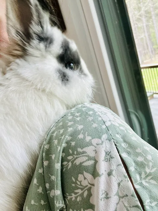 Green Ember Rabbitry 5