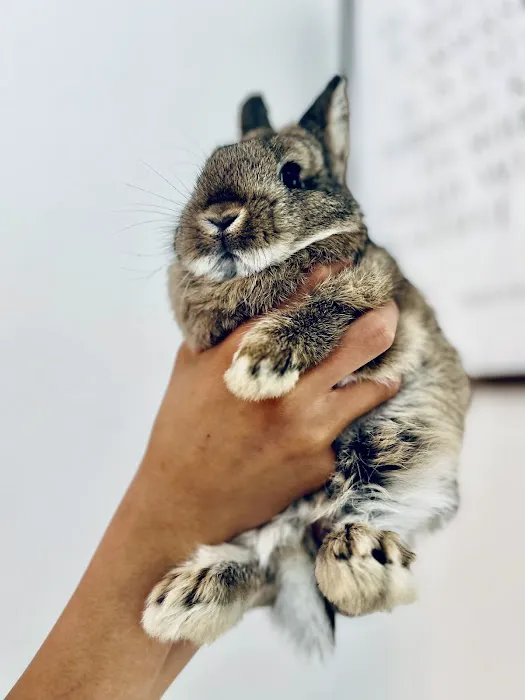 Green Ember Rabbitry 4