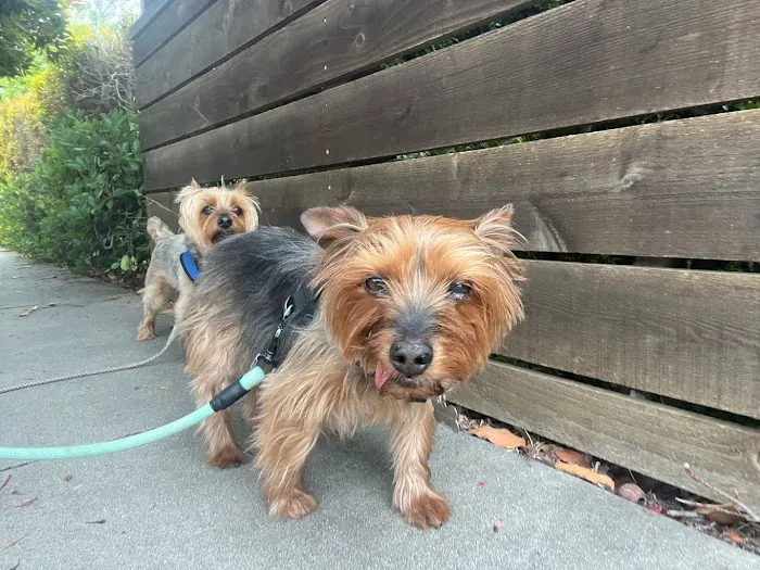 Cabrillo Pet Hospital 12