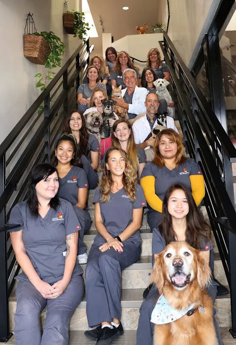 Cabrillo Pet Hospital 12