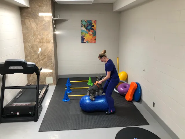 Cabrillo Pet Hospital 12