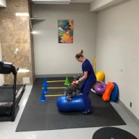 Cabrillo Pet Hospital ico