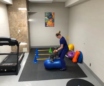 Cabrillo Pet Hospital