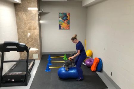 Cabrillo Pet Hospital