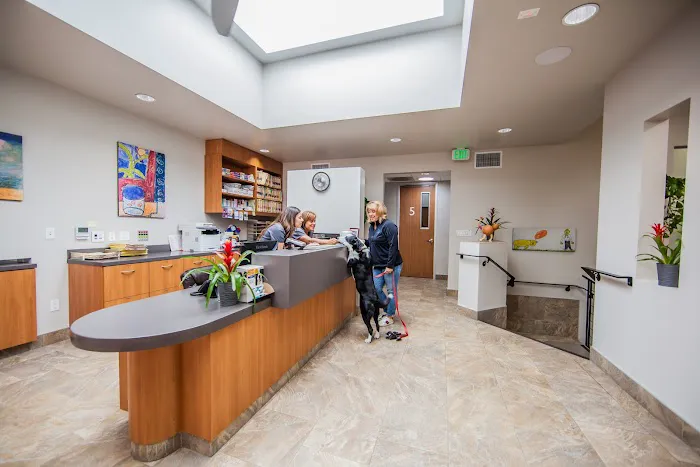 Cabrillo Pet Hospital 12
