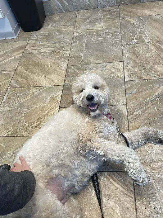 Cabrillo Pet Hospital 12