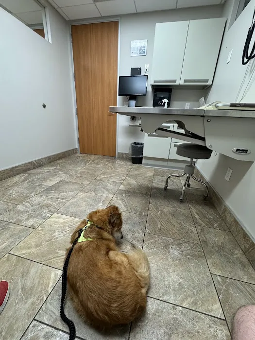 Cabrillo Pet Hospital 12
