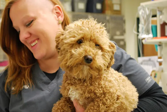 Mallard Point Veterinary Clinic 12