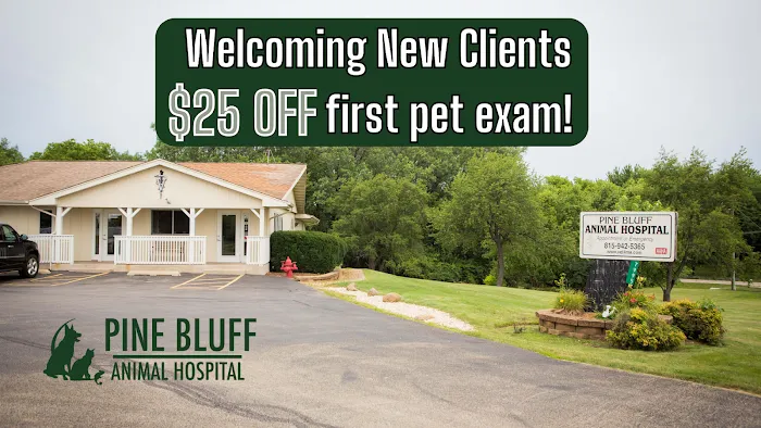 Pine Bluff Animal Hospital 12