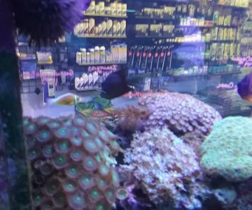 Fish Room