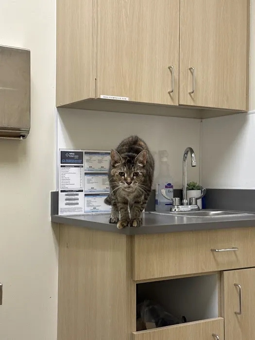 Vetco Total Care Animal Hospital 12