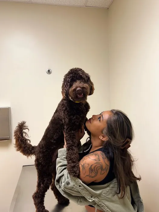 Vetco Total Care Animal Hospital 12