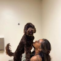 Vetco Total Care Animal Hospital ico