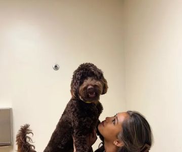 Vetco Total Care Animal Hospital