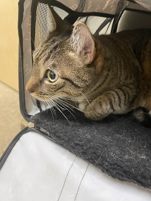 Vetco Total Care Animal Hospital 12