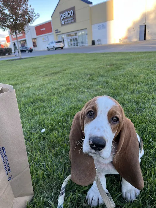 Vetco Total Care Animal Hospital 12