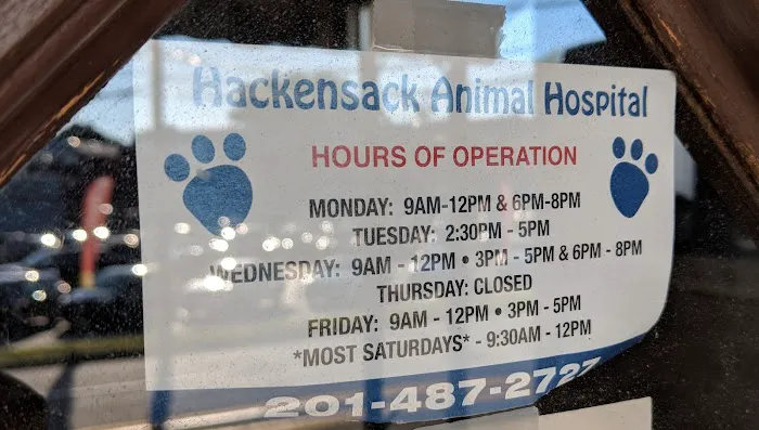 Hackensack Animal Hospital 12