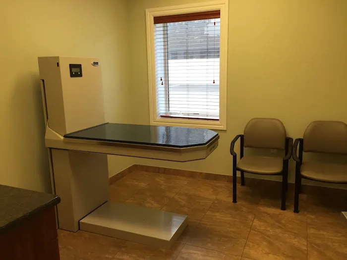 Animal Hospital of Hasbrouck Heights 12