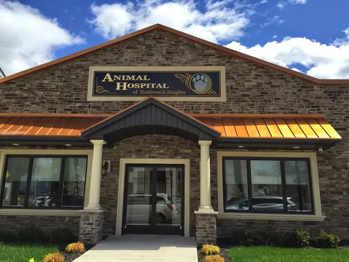 Animal Hospital of Hasbrouck Heights 12