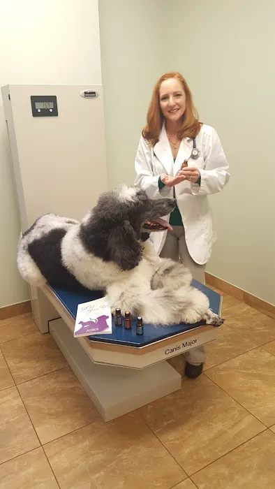 Animal Hospital of Hasbrouck Heights 12