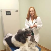 Animal Hospital of Hasbrouck Heights ico