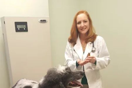 Animal Hospital of Hasbrouck Heights