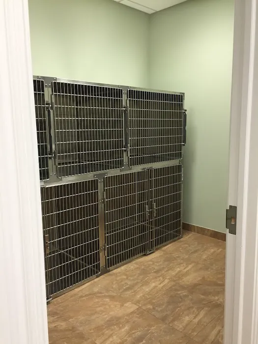 Animal Hospital of Hasbrouck Heights 12