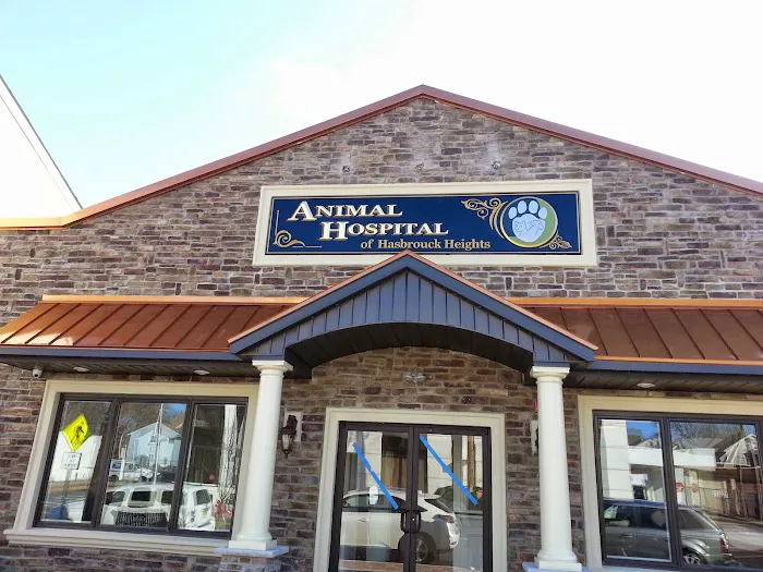 Animal Hospital of Hasbrouck Heights 12