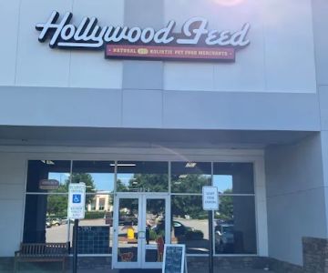 Hollywood Feed