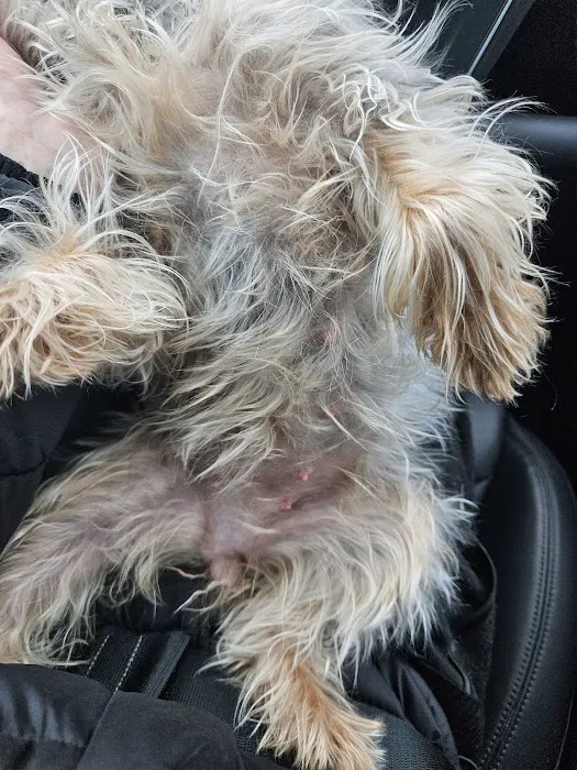 Oradell Veterinary Group of Hasbrouck Heights 4
