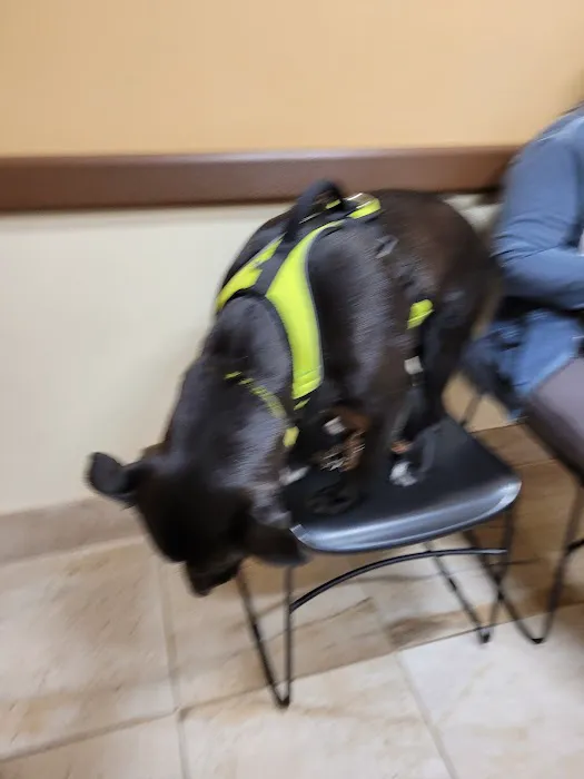 Oradell Veterinary Group of Hasbrouck Heights 3